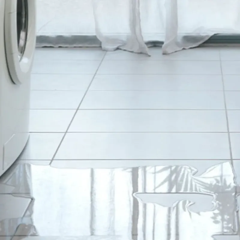 Appliance Leak Cleanup in Henrietta, TX
