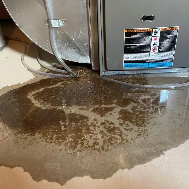 Pipe Burst and Leak Restoration in Henrietta, TX