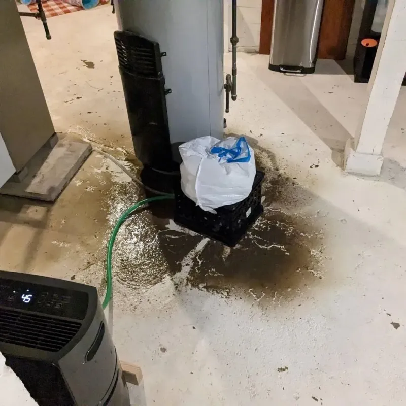 Sewage Backup Cleanup Service in Henrietta, TX